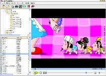 Flash Media Player